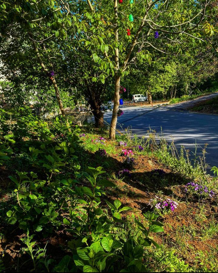 Kapri Termal Hotel & Kaplica Yalova エクステリア 写真